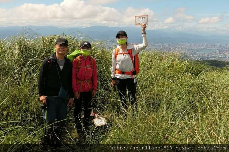 陽明山 親子登山 陽明山草原秘境 健腳級行程 擎天崗