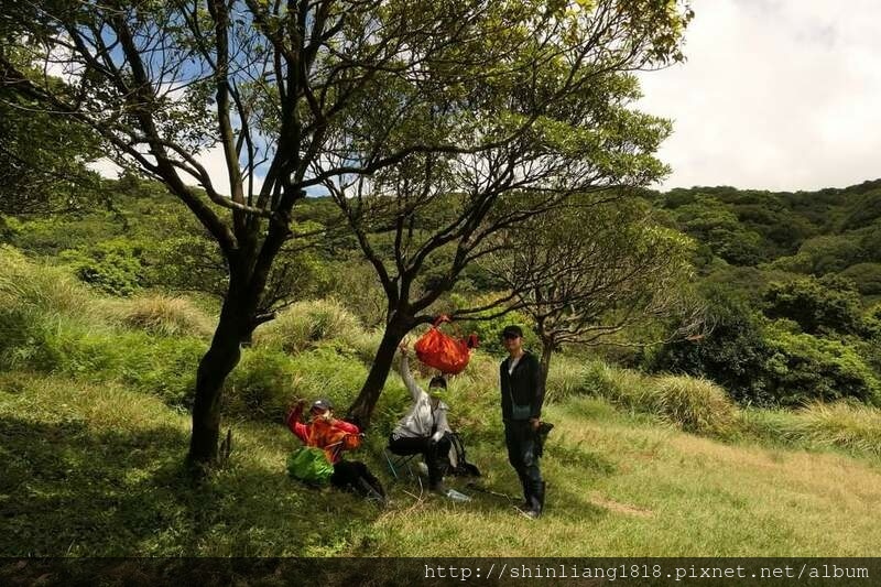 陽明山 親子登山 陽明山草原秘境 健腳級行程 擎天崗