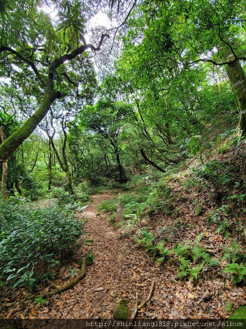 陽明山 親子登山 陽明山草原秘境 健腳級行程 擎天崗