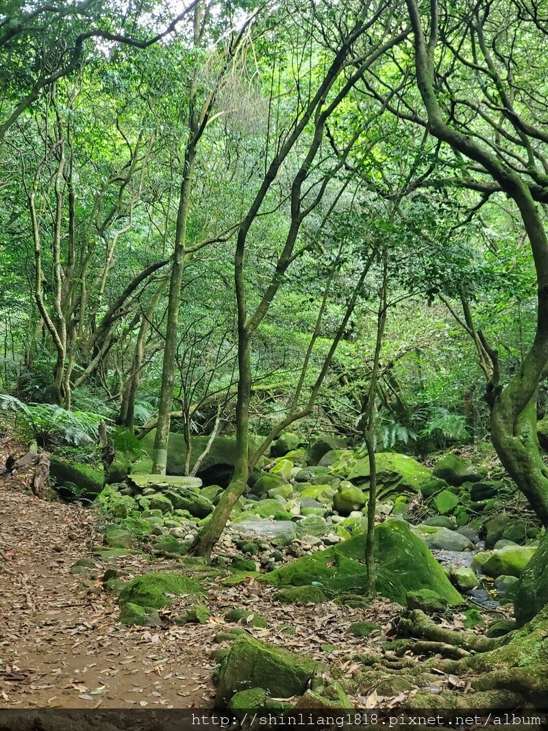 陽明山 親子登山 陽明山草原秘境 健腳級行程 擎天崗