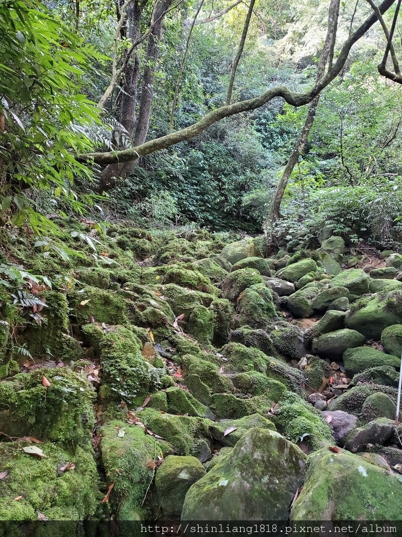 陽明山 親子登山 陽明山草原秘境 健腳級行程 擎天崗