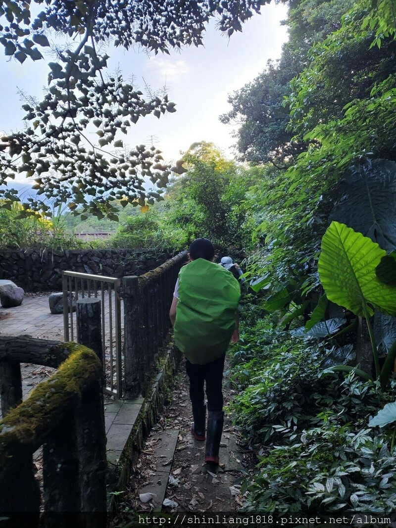 陽明山 親子登山 陽明山草原秘境 健腳級行程 擎天崗