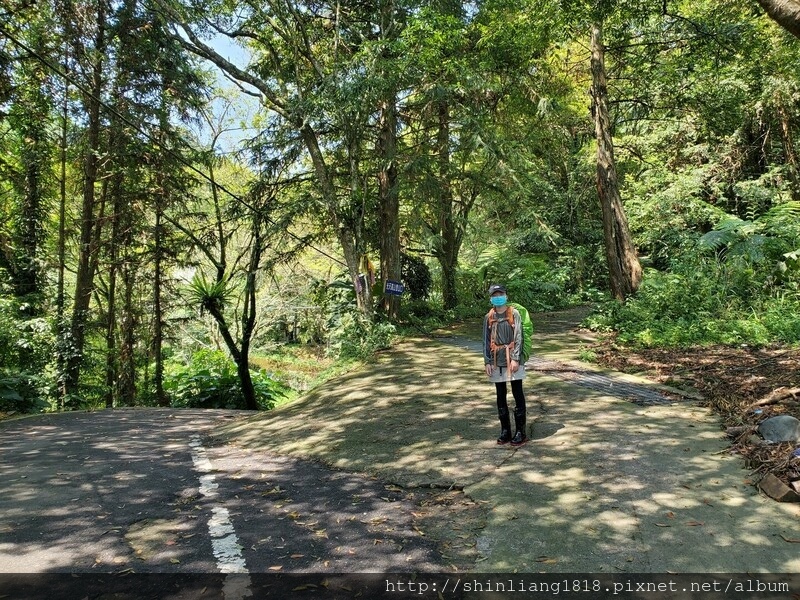 向天湖 向天湖山 光天高山 南庄 親子登山