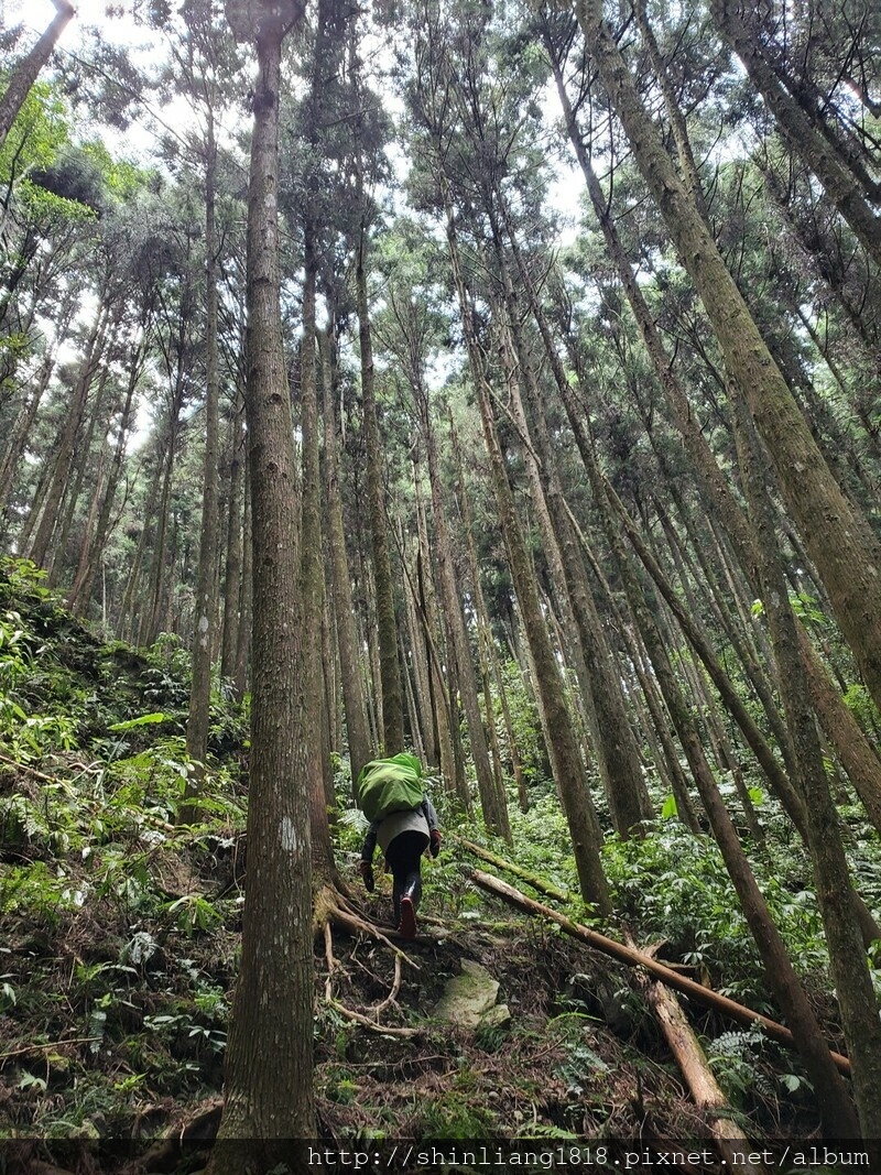 向天湖 向天湖山 光天高山 南庄 親子登山