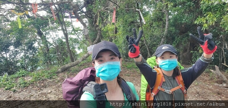 向天湖 向天湖山 光天高山 南庄 親子登山