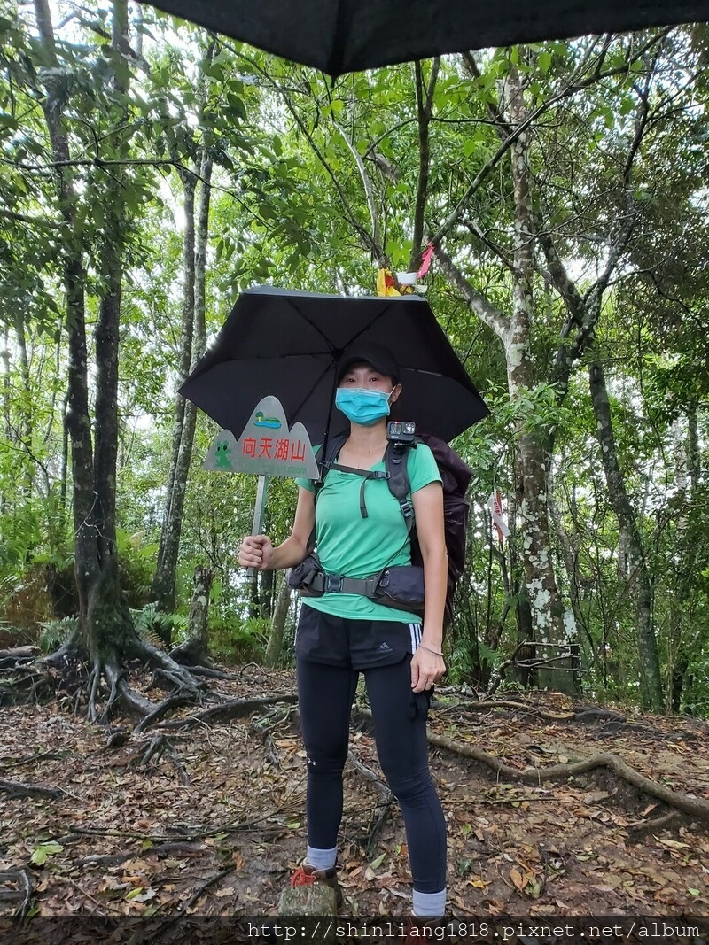 向天湖 向天湖山 光天高山 南庄 親子登山