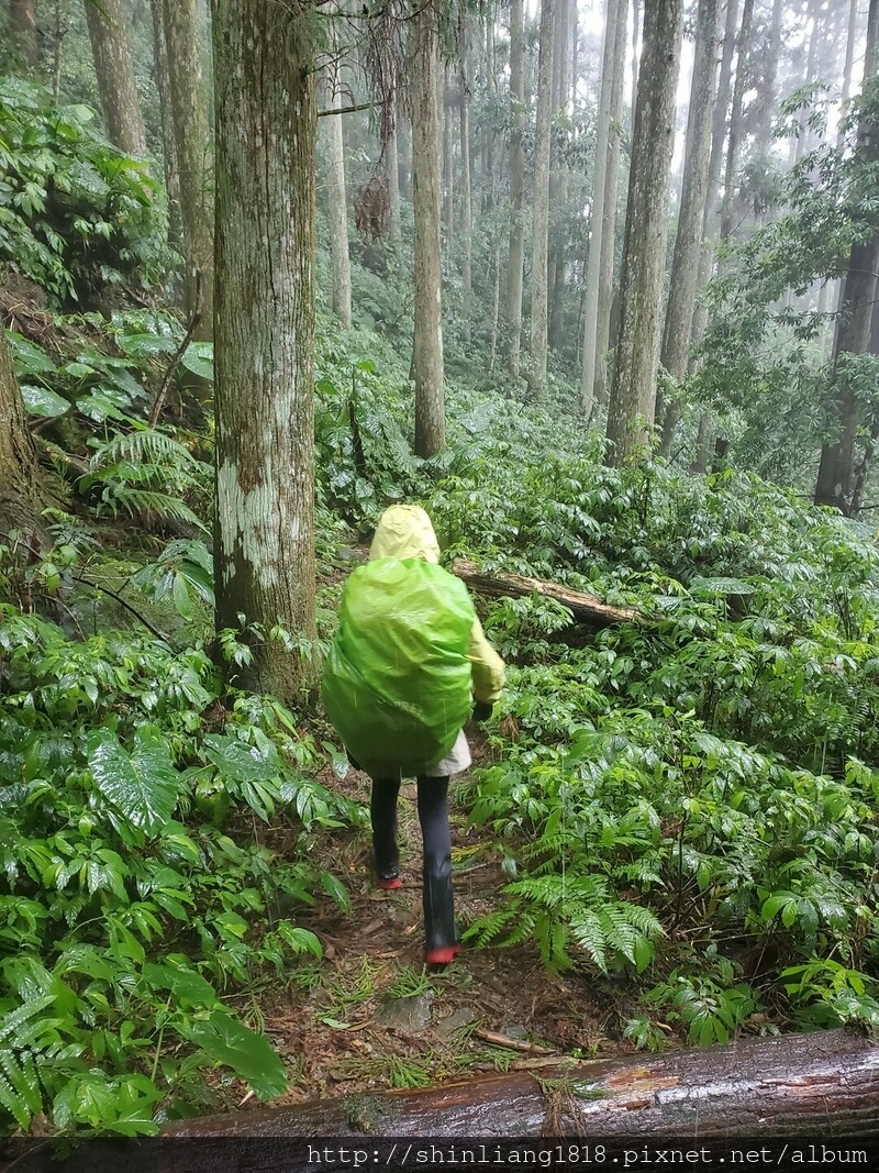 向天湖 向天湖山 光天高山 南庄 親子登山