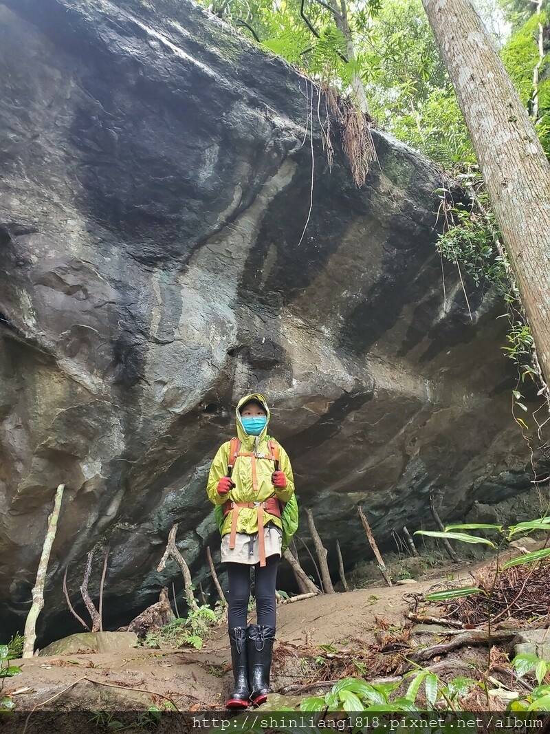 向天湖 向天湖山 光天高山 南庄 親子登山