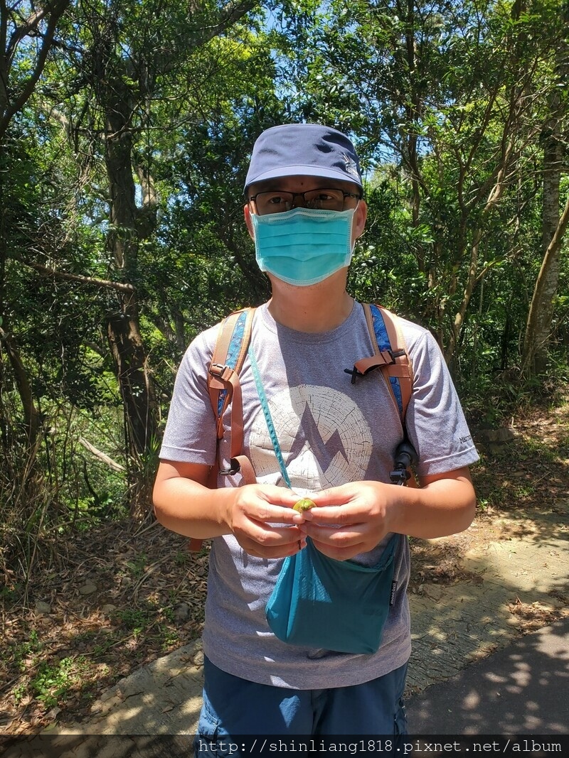 關西 石光古道 親子登山 登山 戶外活動