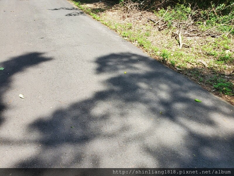 關西 石光古道 親子登山 登山 戶外活動