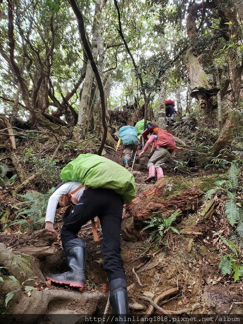 拉拉山 夫婦山 親子登山 登山 夫拉緃走