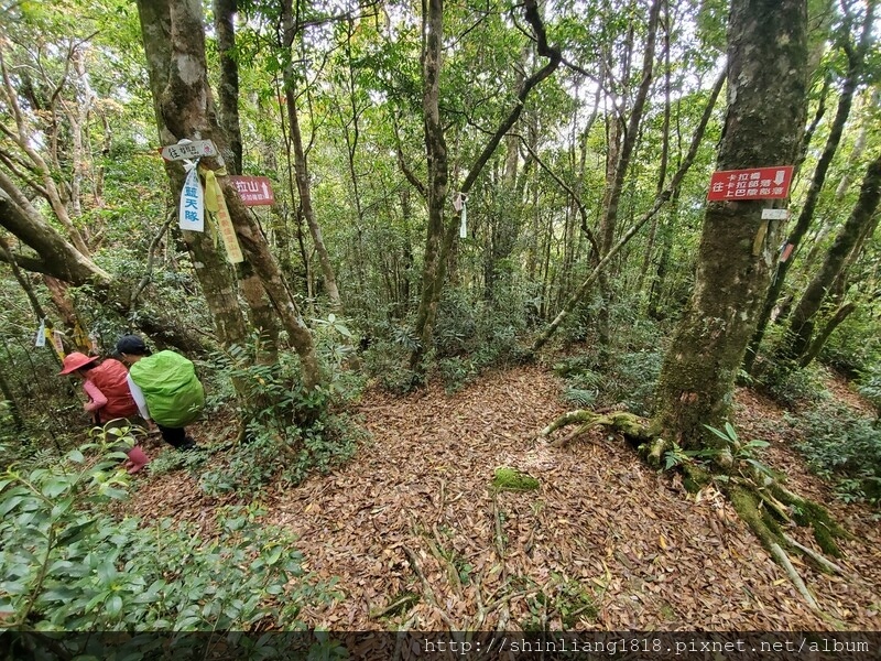 拉拉山 夫婦山 親子登山 登山 夫拉緃走