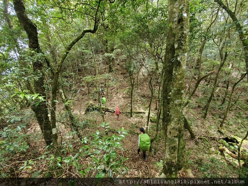 拉拉山 夫婦山 親子登山 登山 夫拉緃走