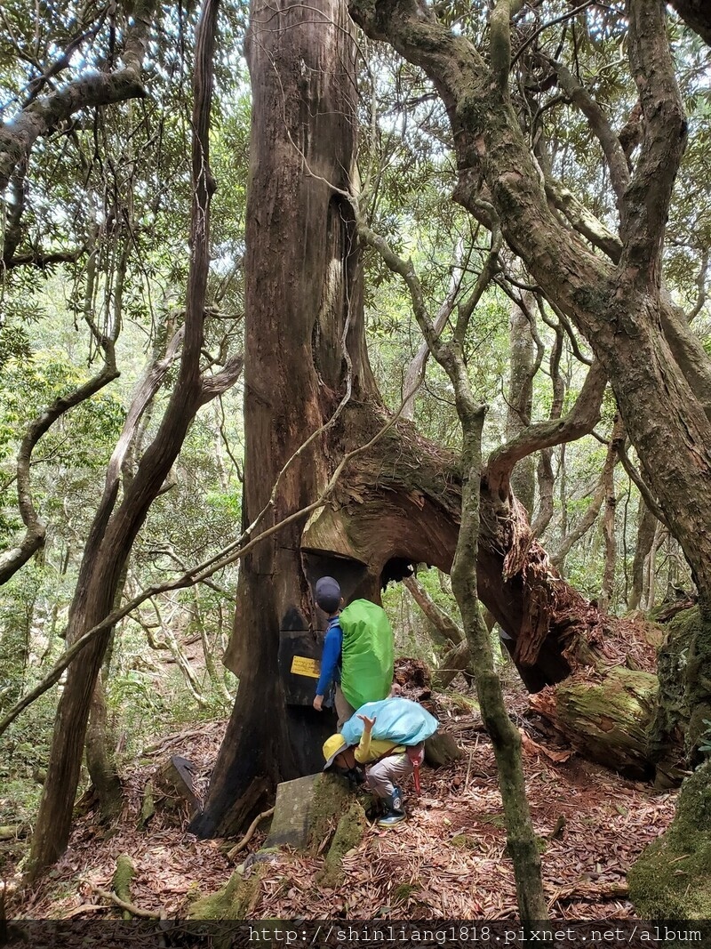 拉拉山 夫婦山 親子登山 登山 夫拉緃走