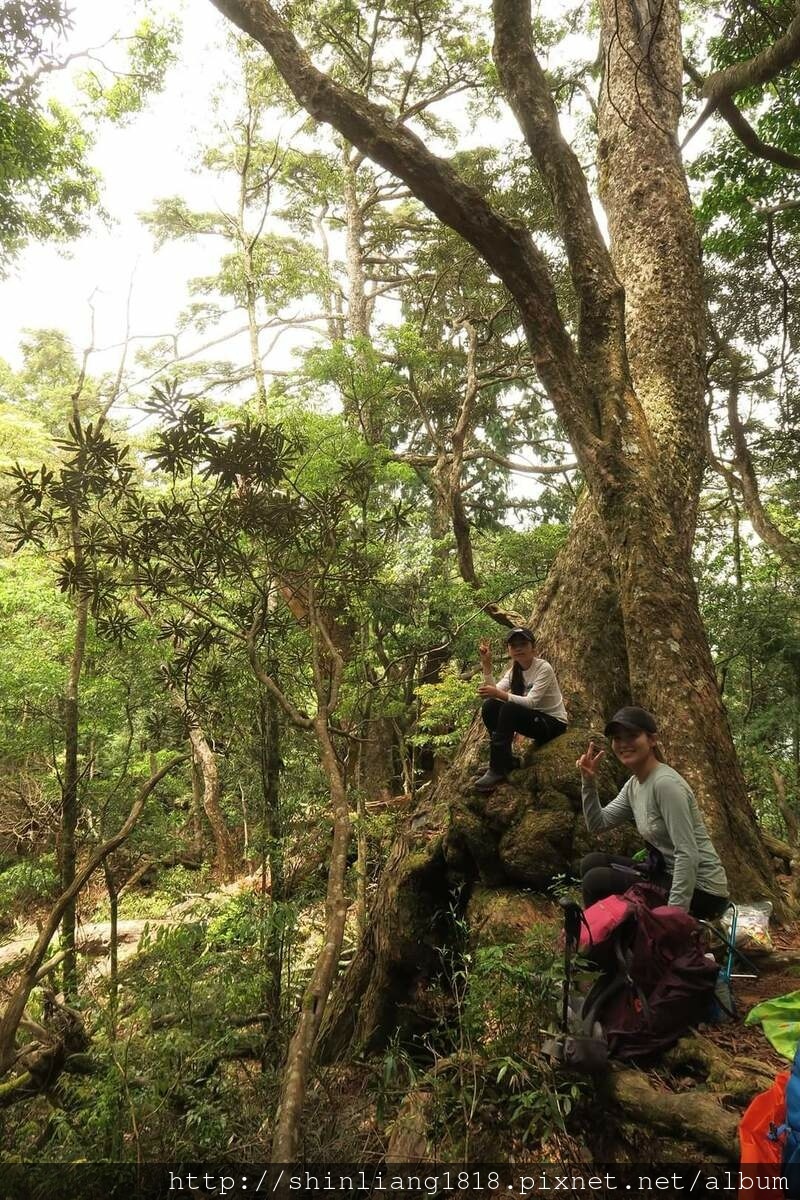 拉拉山 夫婦山 親子登山 登山 夫拉緃走