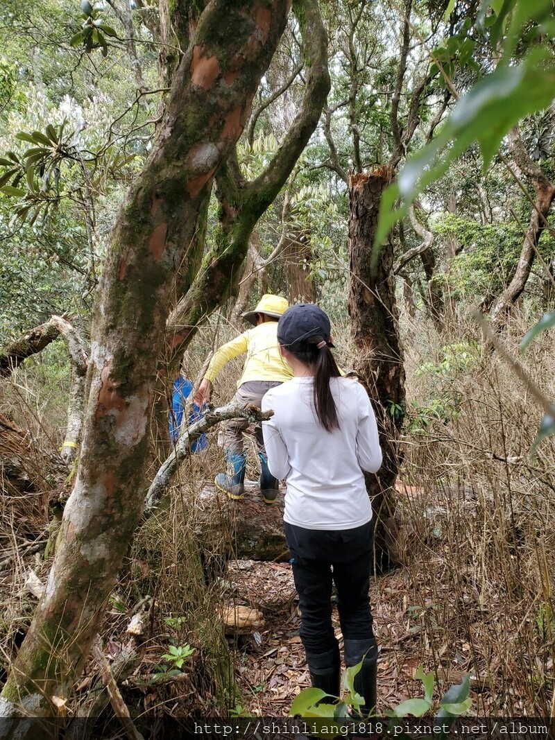 拉拉山 夫婦山 親子登山 登山 夫拉緃走