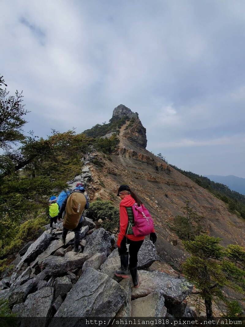 大霸尖山 大霸北稜 小霸尖山 親子登山 新竹