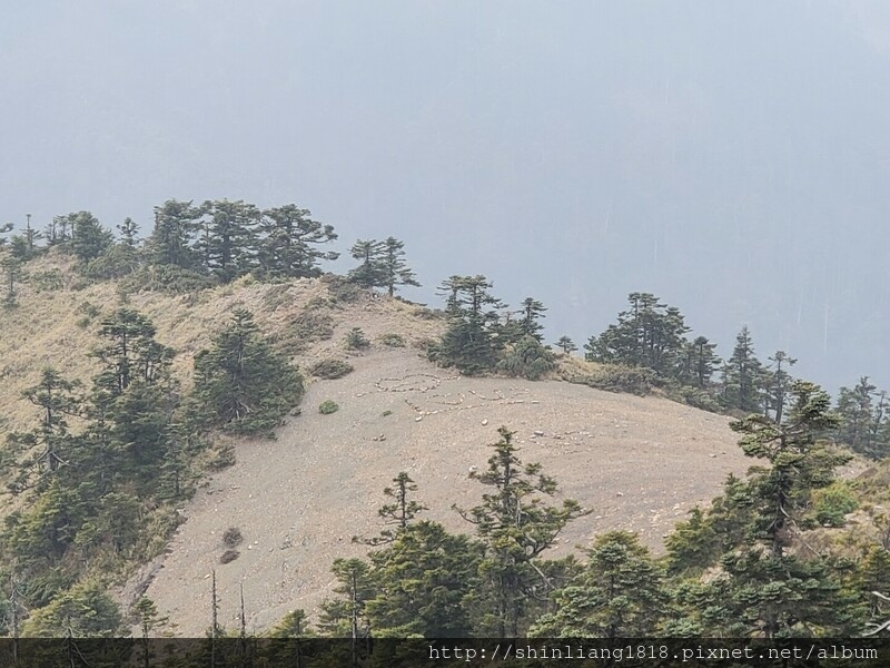 大霸尖山 大霸北稜 小霸尖山 親子登山 新竹