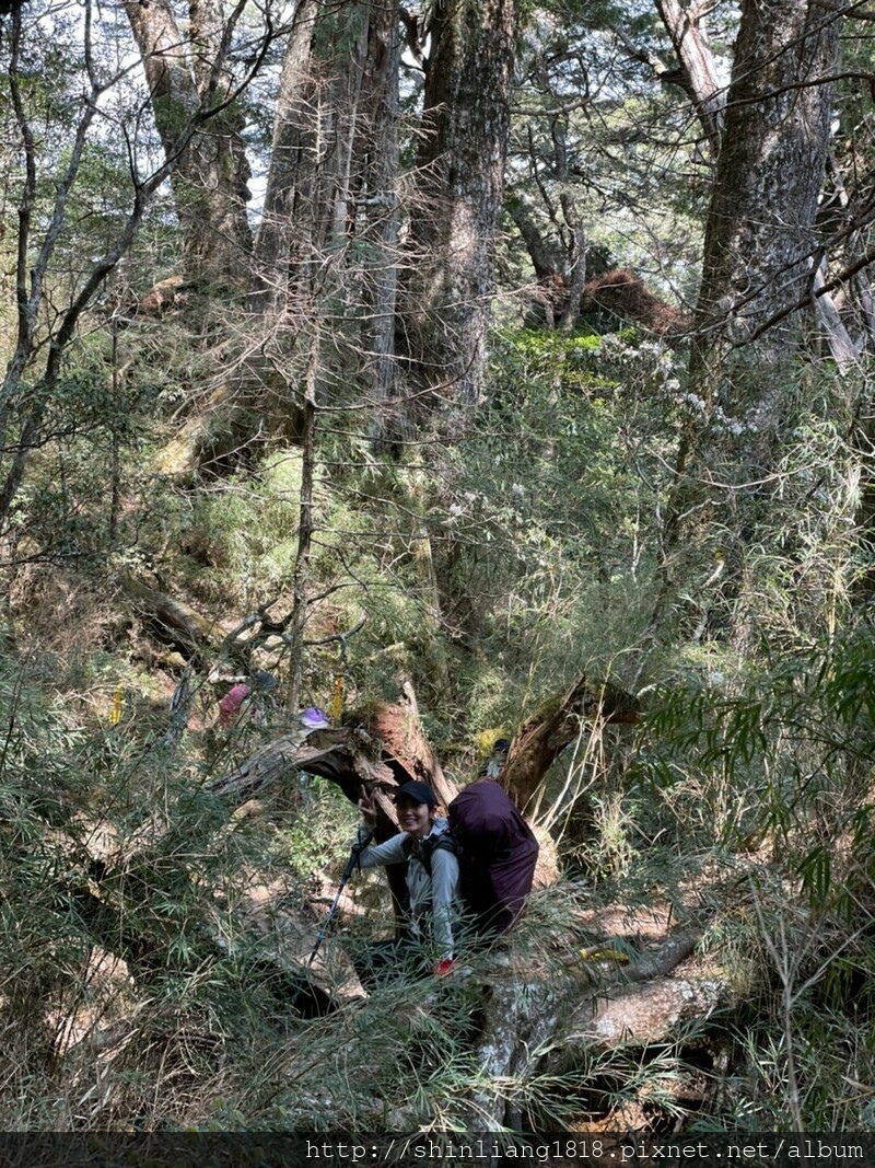 大霸尖山 大霸北稜 小霸尖山 親子登山 新竹