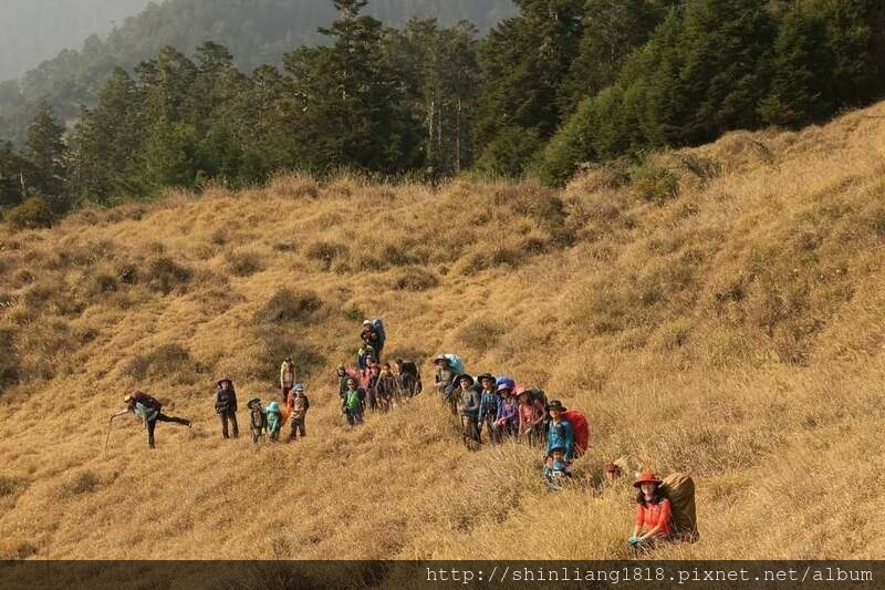 大霸尖山 大霸北稜 小霸尖山 親子登山 新竹