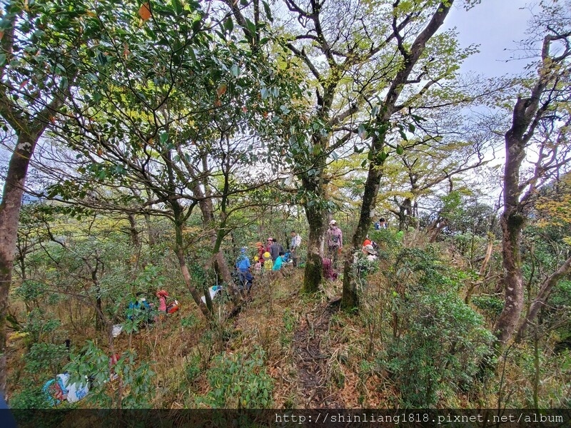 親子登山 登山 樂佩山 三峽 熊空