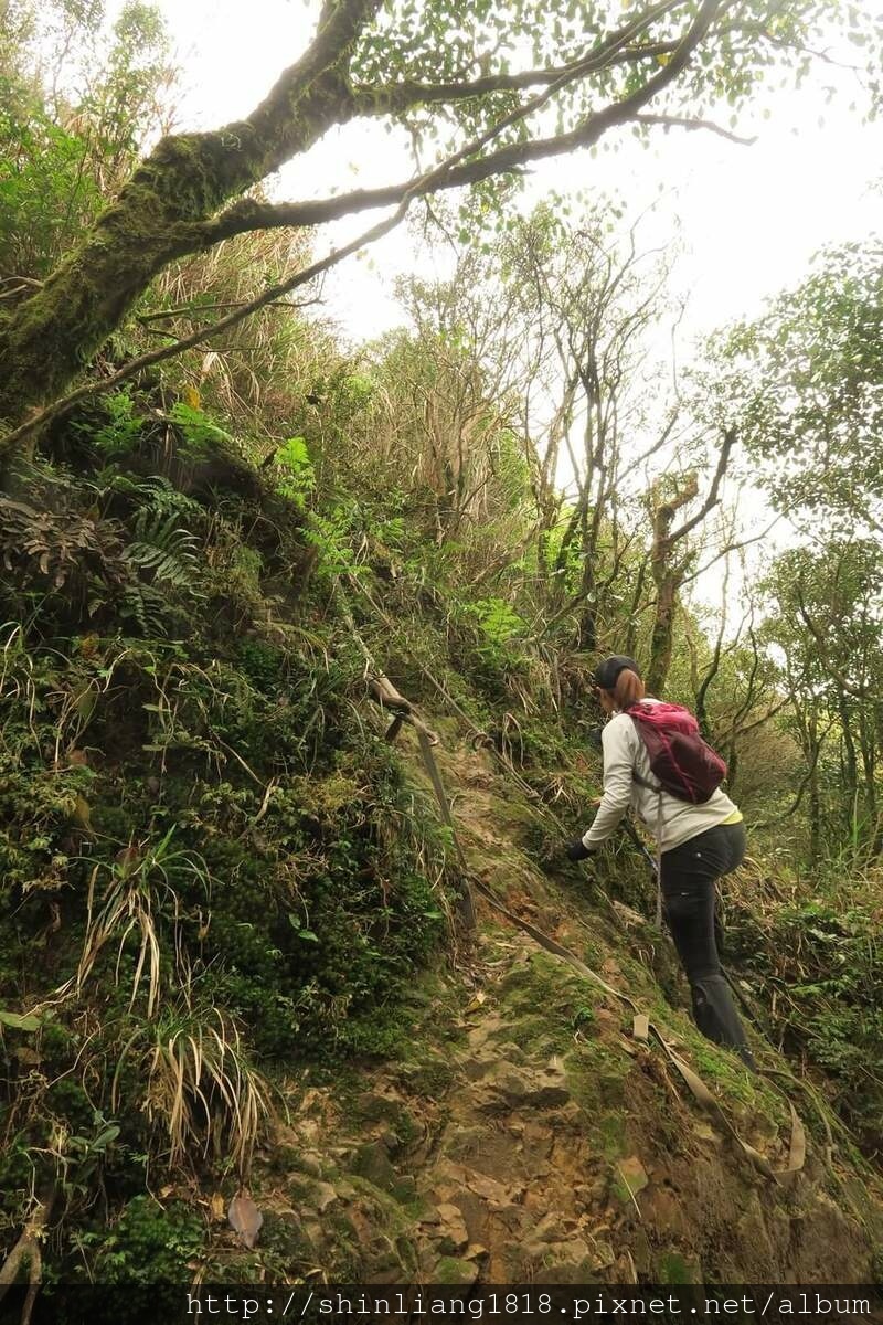 親子登山 登山 樂佩山 三峽 熊空