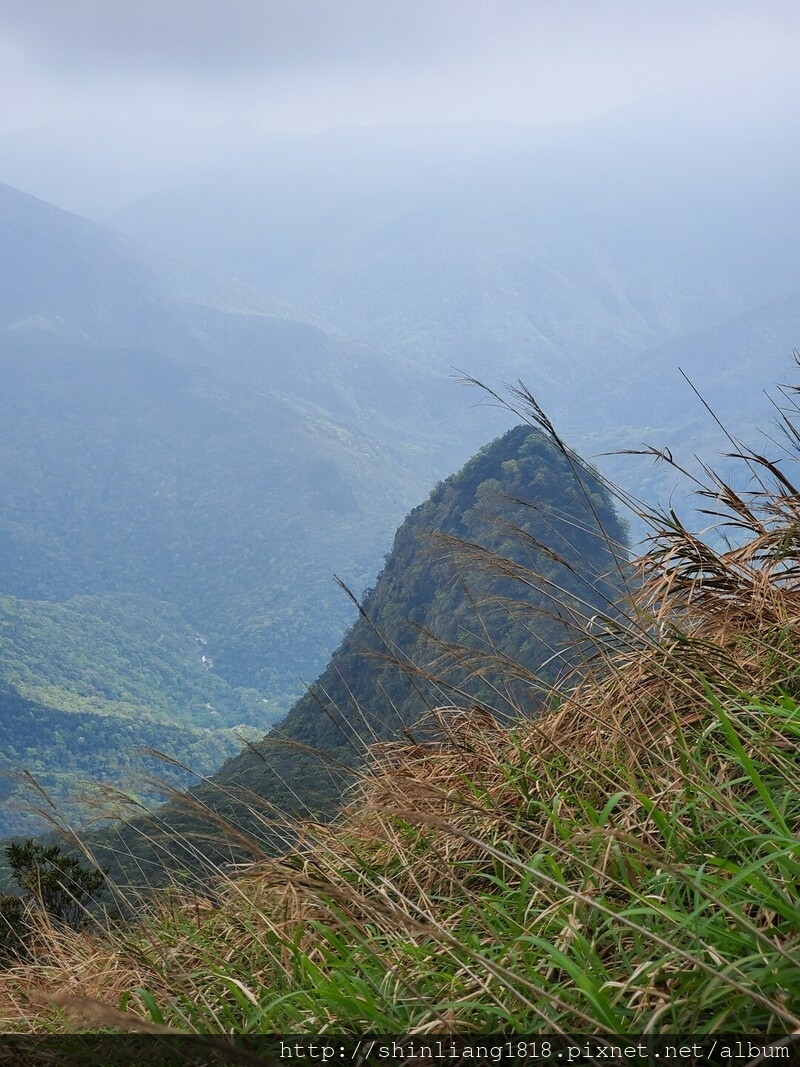 親子登山 登山 樂佩山 三峽 熊空