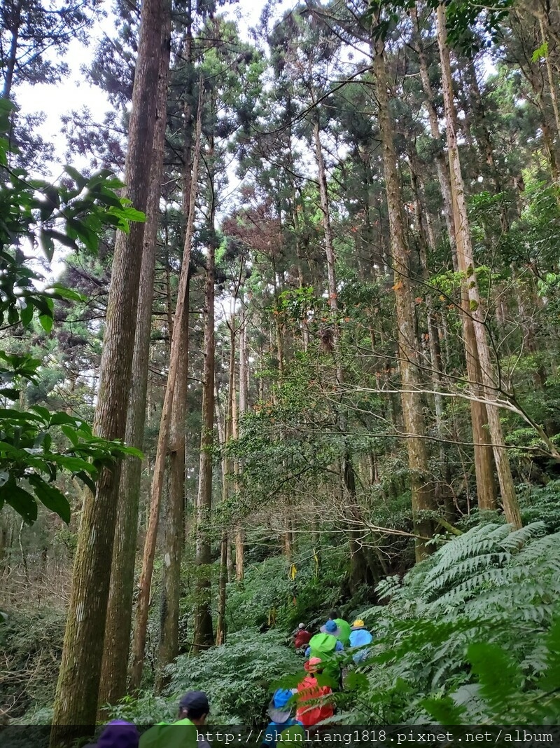 親子登山 登山 樂佩山 三峽 熊空