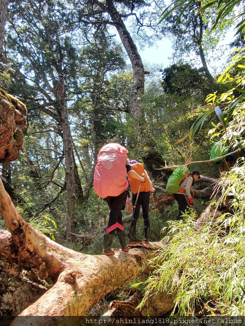 登山 親子登山 大霸尖山 小霸尖山 加利山