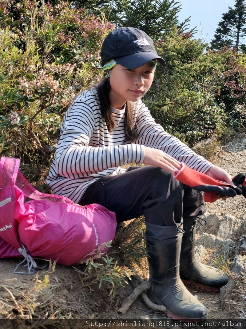 登山 親子登山 大霸尖山 小霸尖山 加利山