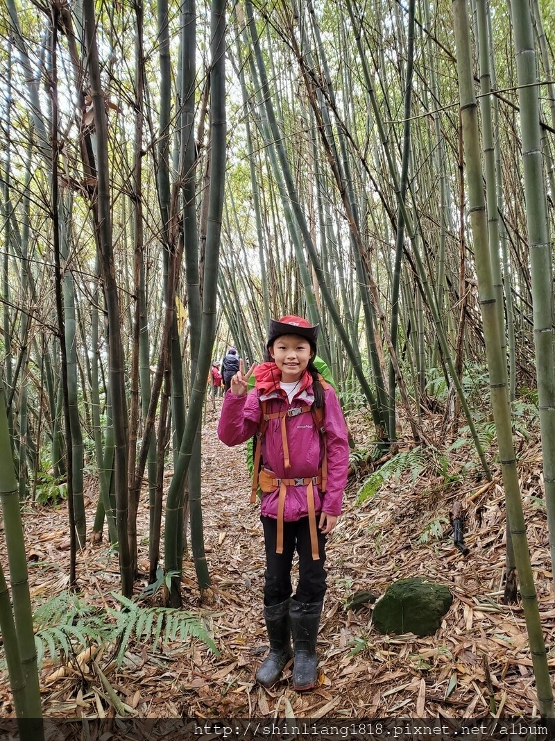 登山 親子登山 金面山 大溪金面山 桃園