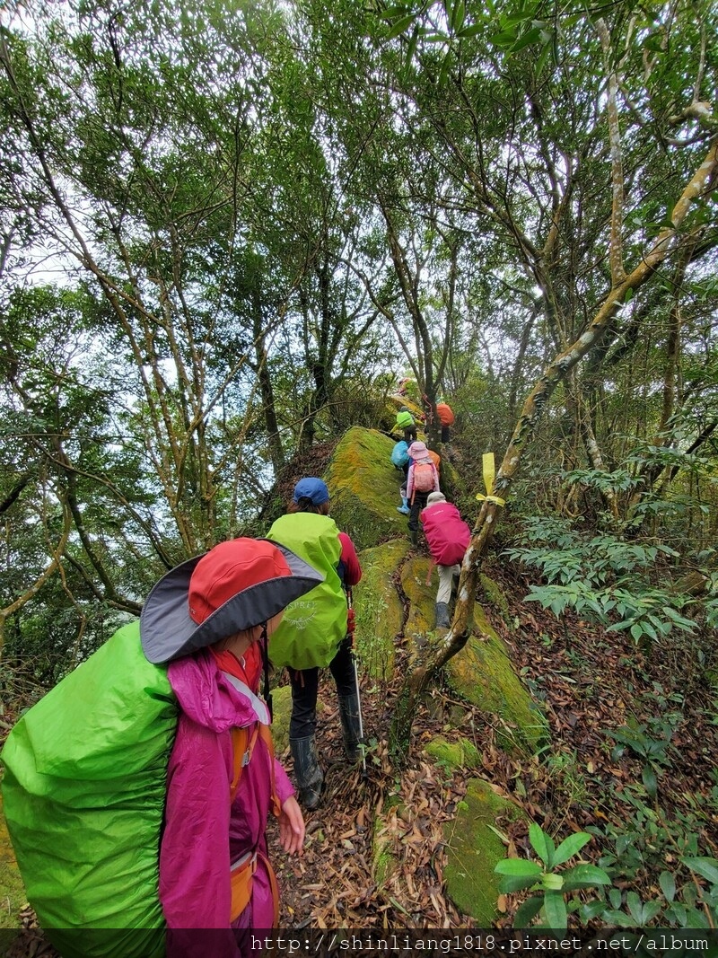 登山 親子登山 金面山 大溪金面山 桃園