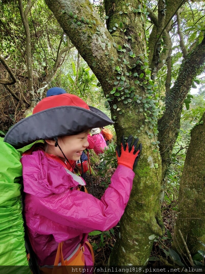 登山 親子登山 金面山 大溪金面山 桃園