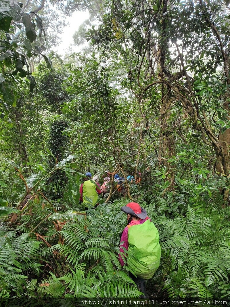 登山 親子登山 金面山 大溪金面山 桃園