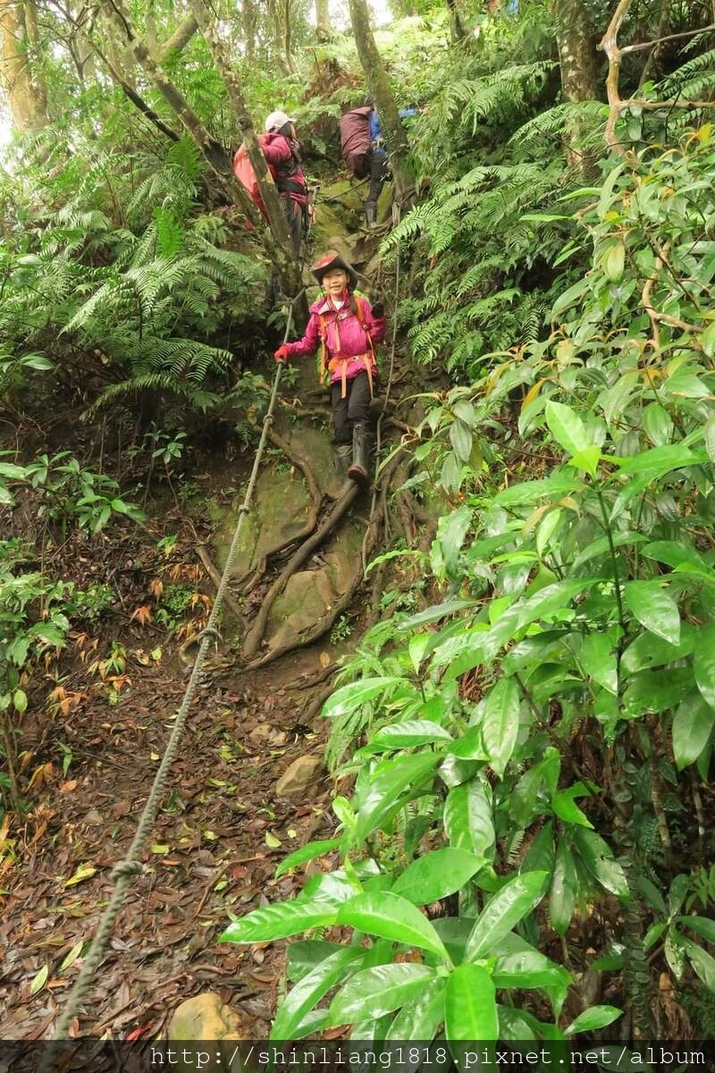 登山 親子登山 金面山 大溪金面山 桃園