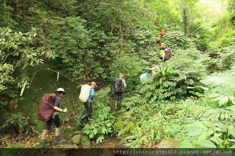 登山 親子登山 金面山 大溪金面山 桃園