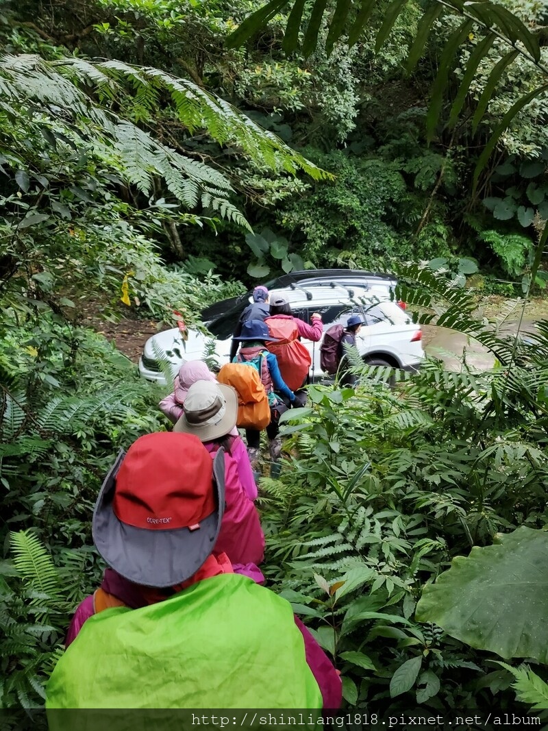 登山 親子登山 金面山 大溪金面山 桃園