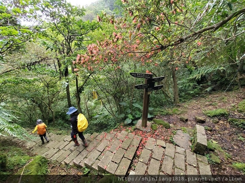 登山 親子登山 登山日記 登山步道 登山健行