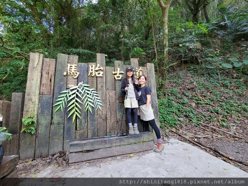 新竹 登山 登山步道 登山健行 登山日記