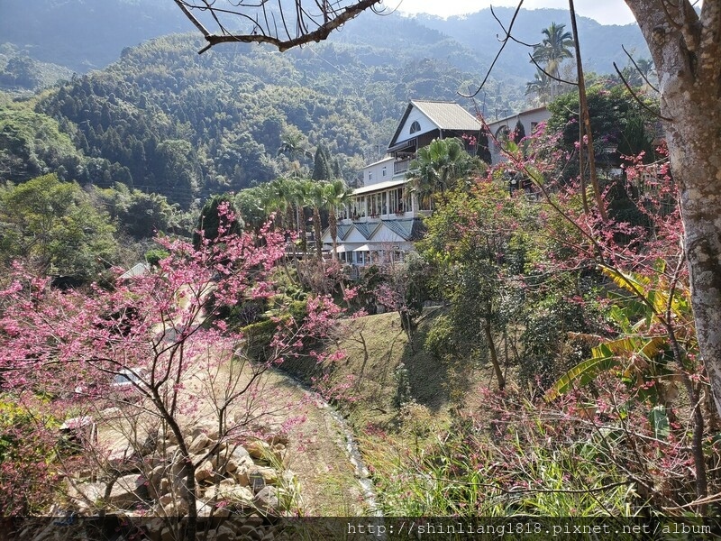 新竹 登山 登山步道 登山健行 登山日記