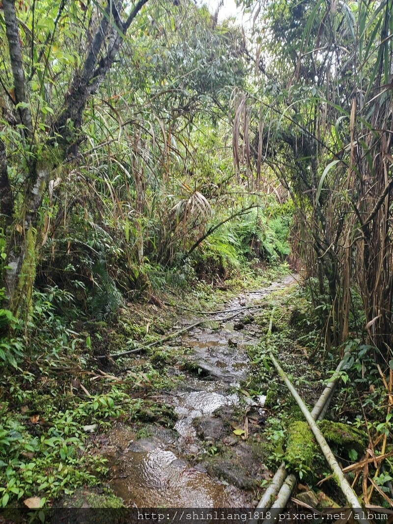 登山 親子登山 清水大山 大同部落 大禮部落