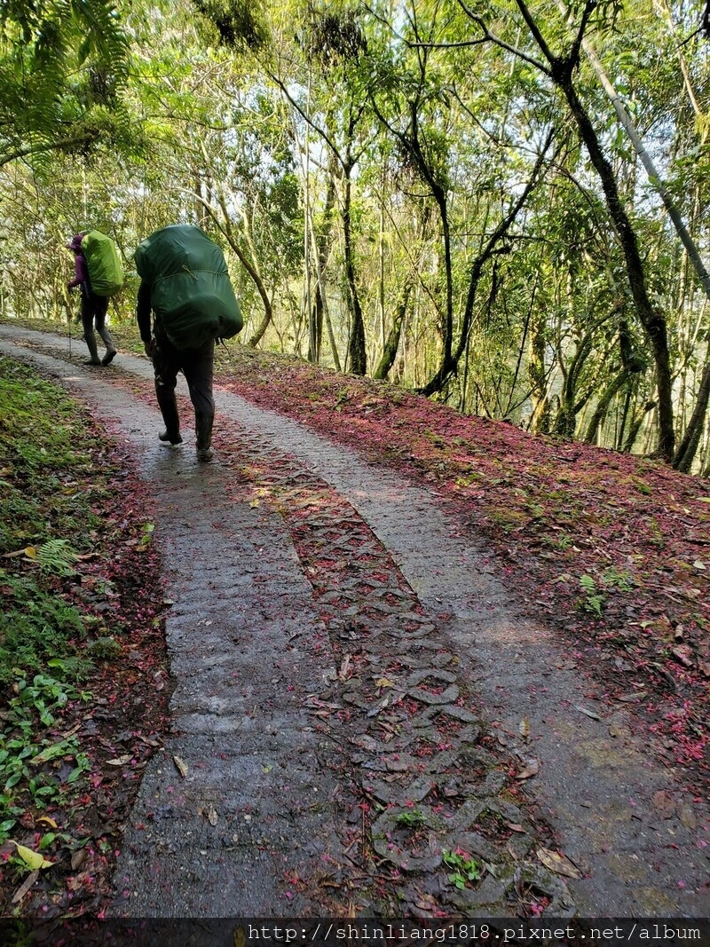 登山 親子登山 清水大山 大同部落 大禮部落