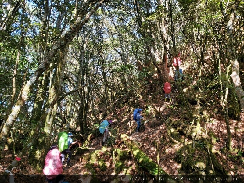 登山 親子登山 石山 溪南鬼湖 秀湖