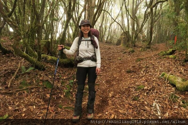 登山 親子登山 石山 溪南鬼湖 秀湖