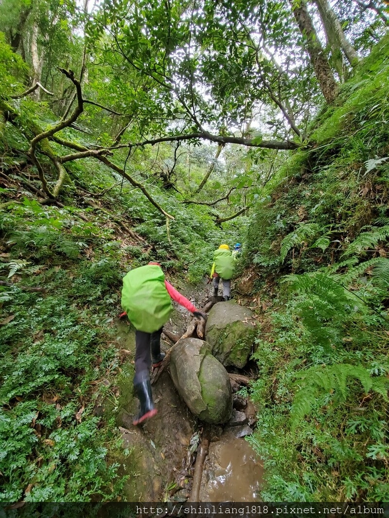 登山 親子登山 拔刀爾山 烏來 高腰山