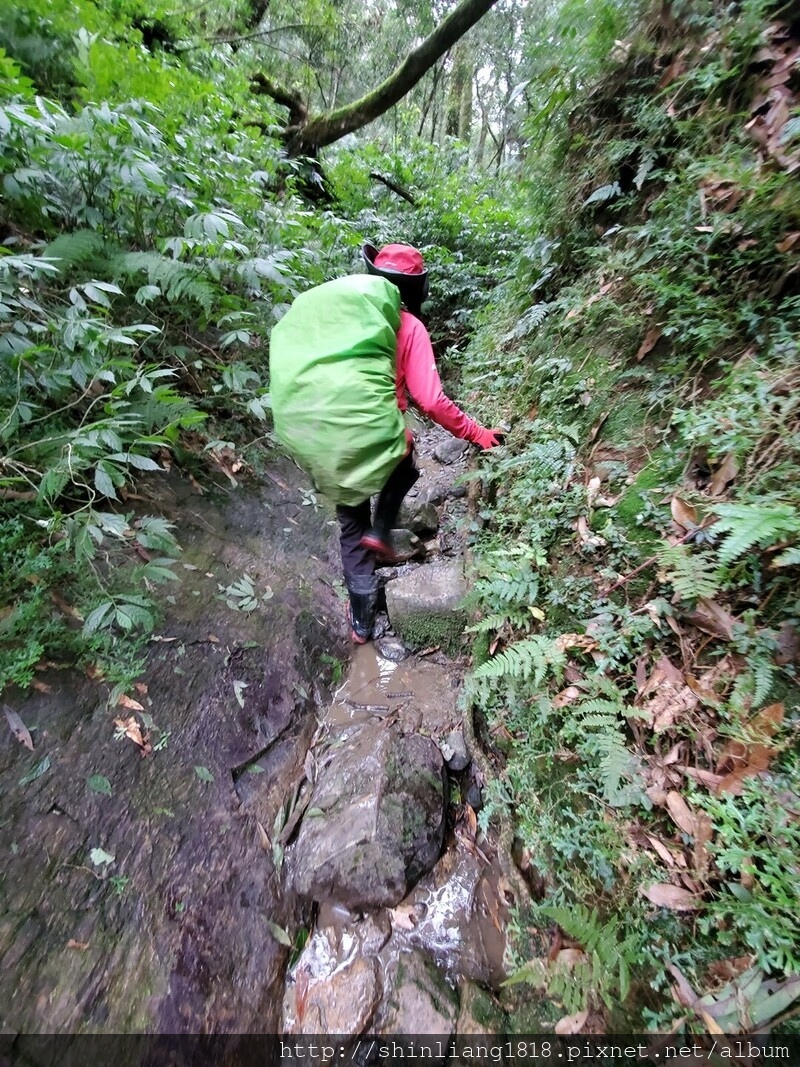 登山 親子登山 拔刀爾山 烏來 高腰山