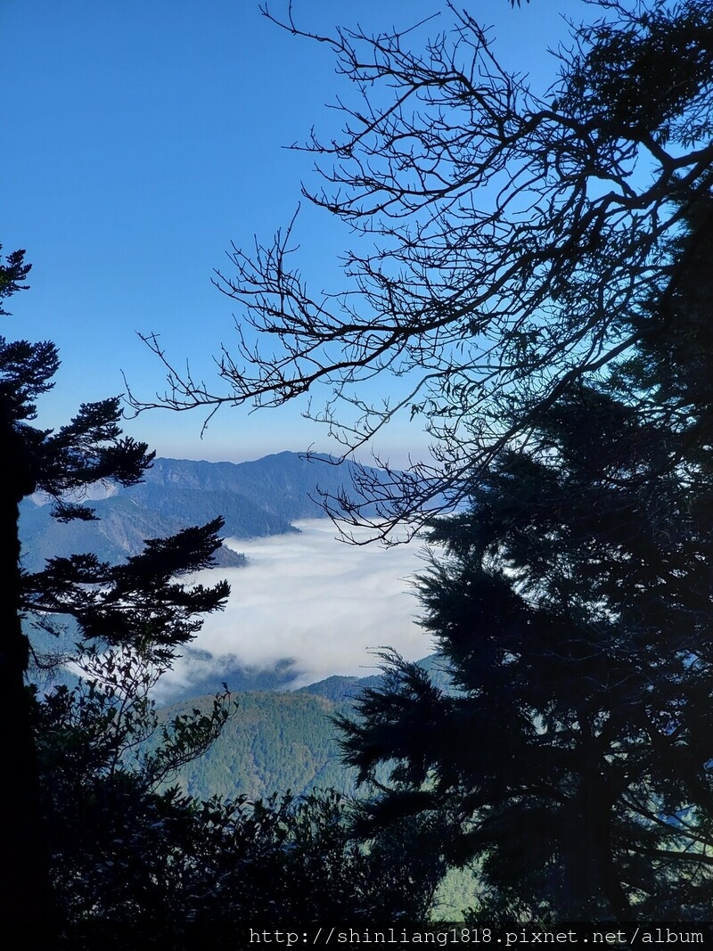 登山 親子登山 平多緃走 野營 戶外活動