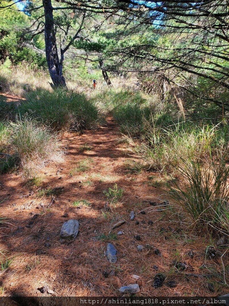 登山 親子登山 平多緃走 野營 戶外活動