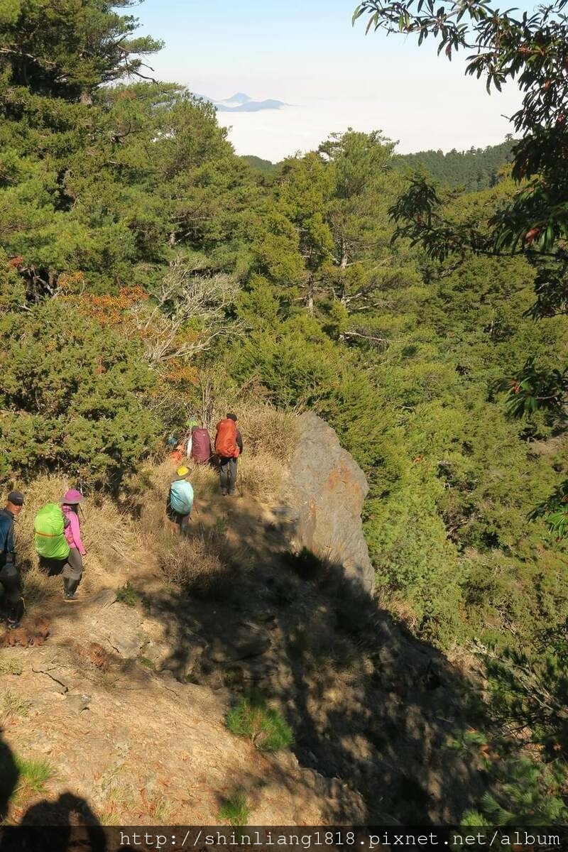 登山 親子登山 平多緃走 野營 戶外活動