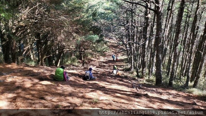 登山 親子登山 平多緃走 野營 戶外活動